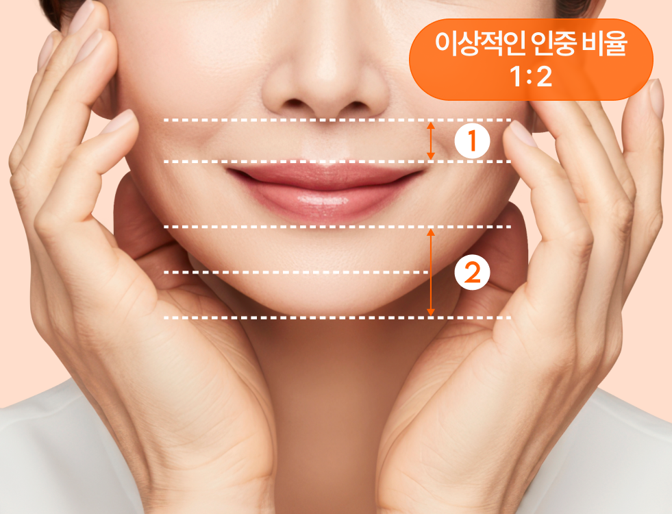 동안 얼굴을 결정하는 황금비율