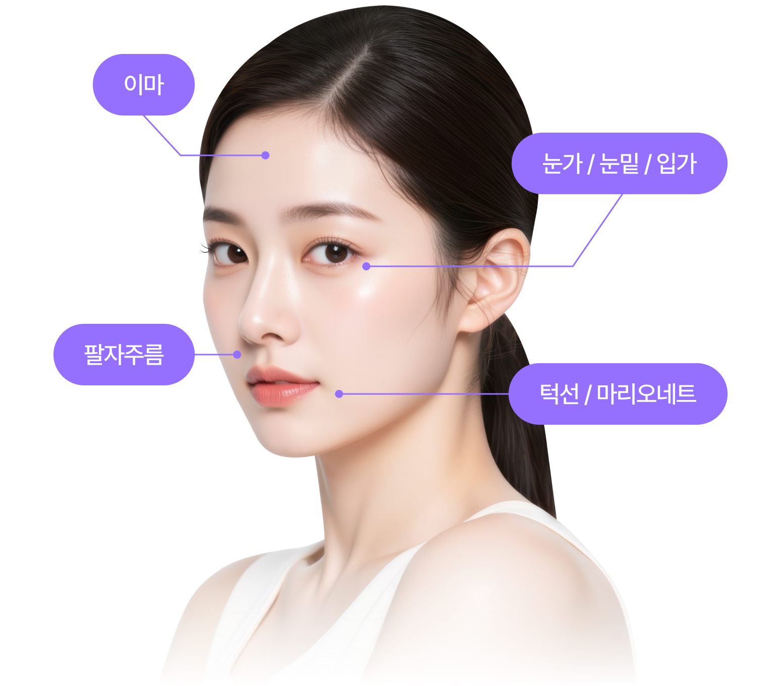 눈가 / 눈밑 / 입가, 이마주름, 팔자주름, 턱선 / 마리오네트